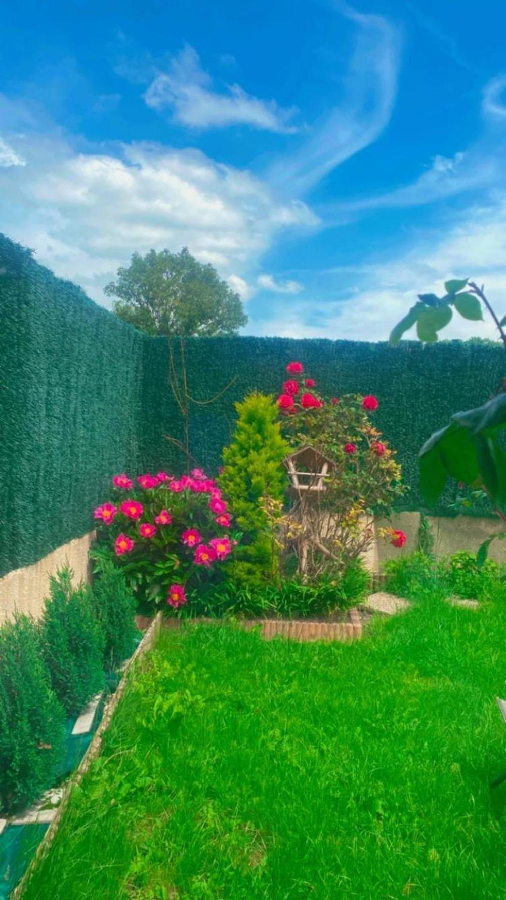 Privee Chez Maison Magnifique A 20 Min Cdg Homestay Sevran